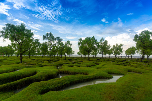 Sitakunda